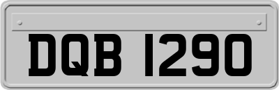 DQB1290