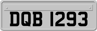 DQB1293