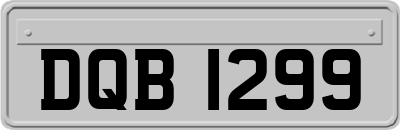 DQB1299