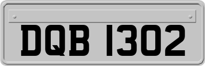 DQB1302