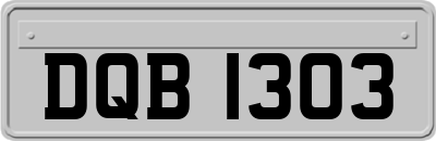 DQB1303