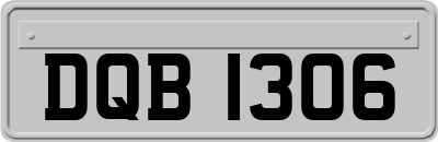 DQB1306