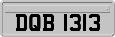 DQB1313