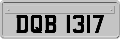 DQB1317
