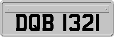 DQB1321