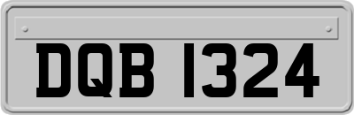 DQB1324