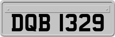 DQB1329