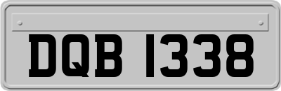 DQB1338