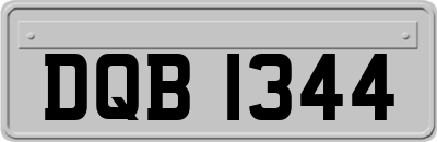 DQB1344