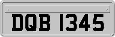 DQB1345