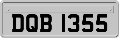 DQB1355