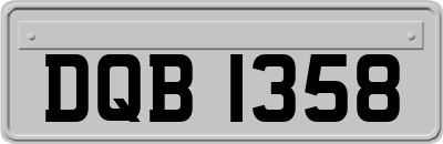 DQB1358