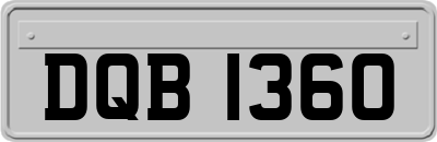 DQB1360