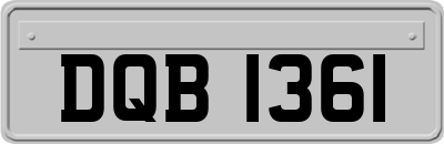 DQB1361