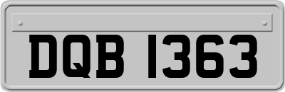 DQB1363