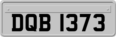 DQB1373