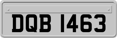 DQB1463