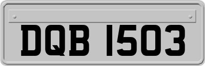 DQB1503