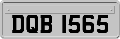 DQB1565