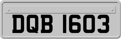 DQB1603