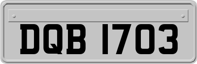 DQB1703