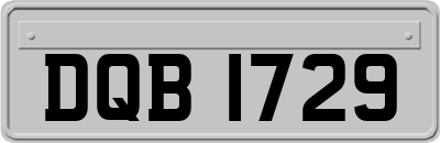 DQB1729