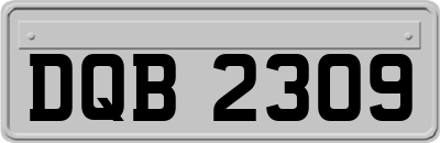 DQB2309