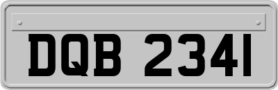 DQB2341