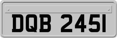 DQB2451