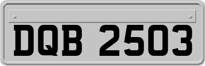 DQB2503