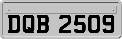 DQB2509