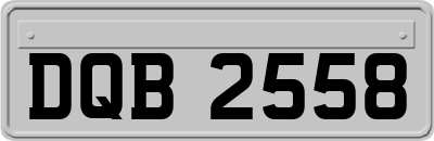 DQB2558