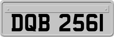 DQB2561