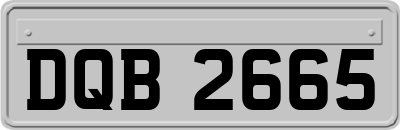 DQB2665
