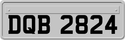 DQB2824