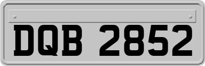 DQB2852