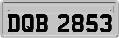 DQB2853