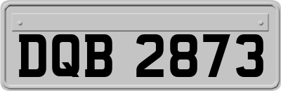 DQB2873
