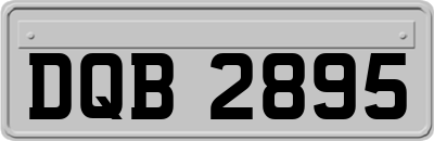 DQB2895