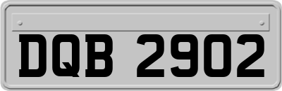 DQB2902