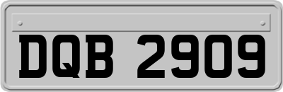 DQB2909
