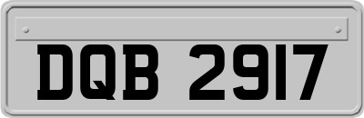 DQB2917