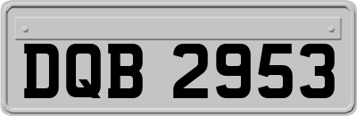 DQB2953