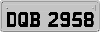 DQB2958