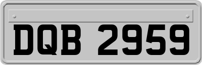 DQB2959