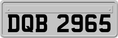 DQB2965