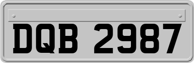 DQB2987