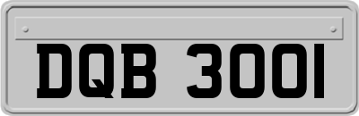 DQB3001