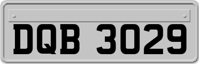 DQB3029
