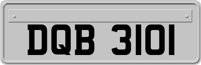 DQB3101